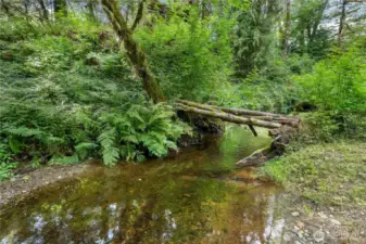 Creek with logs over the water