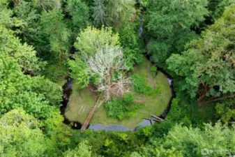 Creek and trails on property