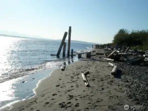 Saltwater Park Down the Hill