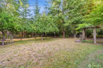 Orchard with fruit trees