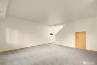 Small door to under the stairs storage