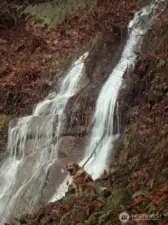 Alder falls, a striking seasonal waterfall flowing from an intermittent stream.