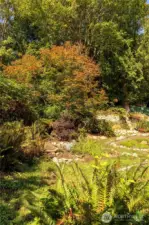 Skyrock garden in fall colors, drawing you into the sitting area.