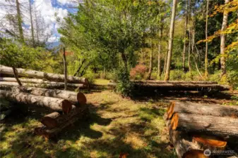 When four huge cedars from river’s edge fell across part of the park, the landowner looked on it as a gift, turning what could have been just bad luck into a unique new area for playing, camping, picnicking.