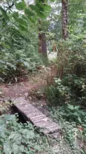 Trails meander throughout the property, this woodland trail features a quaint footbridge.