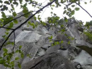Climbers from throughout the U.S. come to Index to test their skill on the upper and lower Town Wall, a backdrop to the town itself. The Town Wall is a Washington state climbing reserve.
