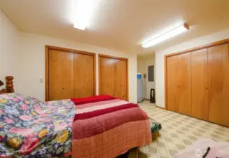 Daylight basement bedroom