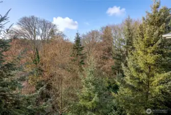 Greenbelt and nature views from the deck.