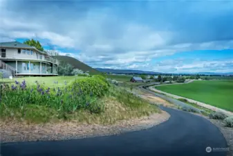 Beautifully paved driveway