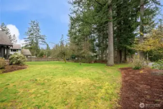 Huge side yard