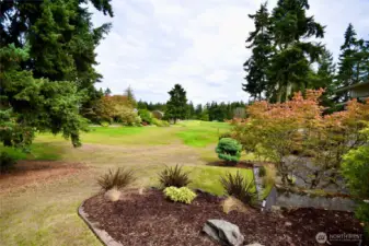 view from house