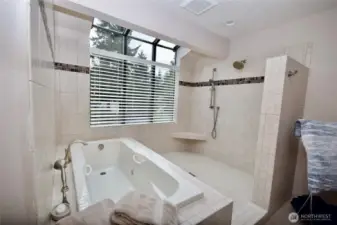 primary walk-in shower & air jet bath