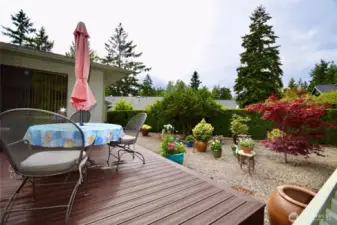 deck & side yard