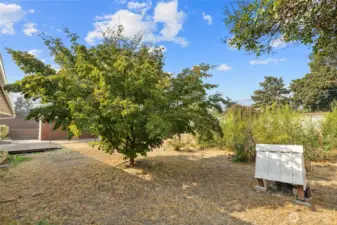 There was a well dug for irrigation purposes about 50 years ago. It has not been used for many years, seller does not know if it is operational or not at this time.