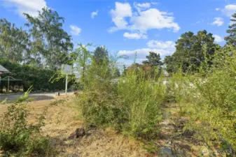 Lots of gardening space in this back yard if you have a green thumb!