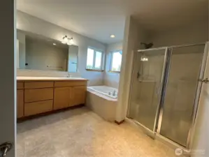 Walk in shower in master