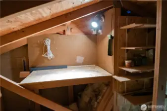 Storage area in attic.