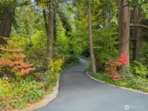 The newer asphalt driveway leads the way in and provides both function and beauty.