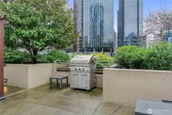 Building Rooftop Courtyard