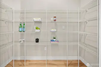 Huge Walk-in pantry.