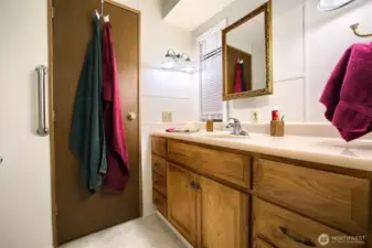 Vanity with storage in the guest bathroom. Counter space for all bath necessities.