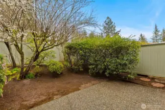 Your own private backyard oasis