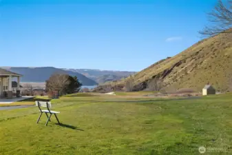 Tee Box just outside back yard