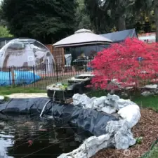 Fish pond