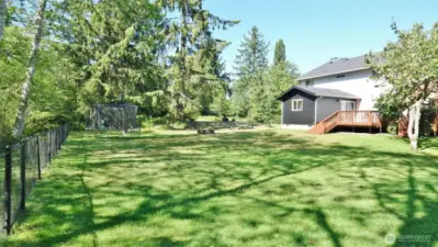 Fenced Backyard and rear of the home.