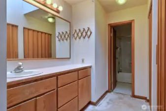 Primary bathroom, this is a skylight above the vanity.