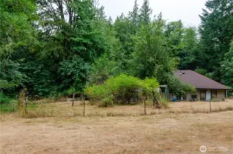 Standing by the outbuilding looking back at the house