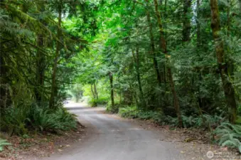 Shady Glen and the driveway is to your right.