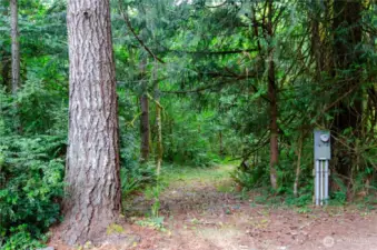 If you are standing in the front of the home looking North - home is situated approximately in the middle of the property.