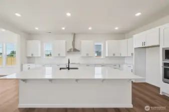 This home has a different color cabinet that is called Artic Grey stain - with a color palate of light grey flooring a grey tile. NOT ACTUAL HOME but represents the layout.