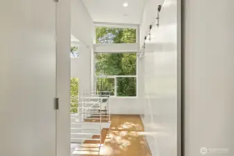 Window walls bring the outdoors in.