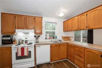 Kitchen Sink overlooks Backyard