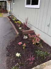 Flowers, bulbs & perennials greet you.