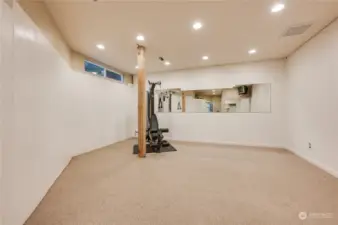 Lower Level Room (use as gym, home office or separate living space)