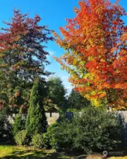 Photo of the fall colors. This is the view from the primary, kitchen and dining room.