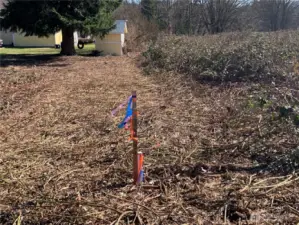 SW Corner, south property line
