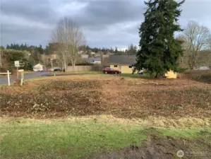 Looking to the east, lot is mostly cleared some squares of blackberries remain.