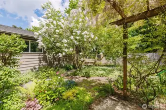 Looking to the house from the hot tub pad in the fenced, private courtyard garden.