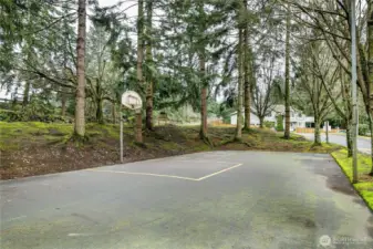 Basket ball hoop on premises
