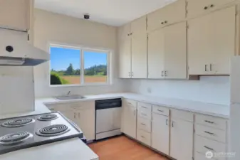 Lots of cabinets and cooking area