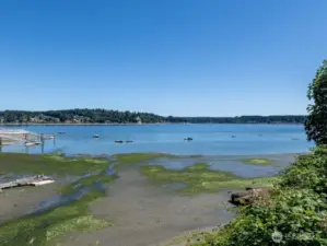 100' of waterfront on 4.23 acres