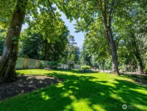 Professional and irrigated landscape