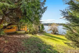 Lake Washington waterfront lot with gentle slope and level shoreline—an ideal site for constructing a luxury custom home.