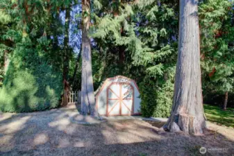 Shed in the backyard