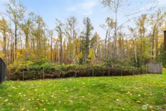 Backs up to green space for privacy and quiet