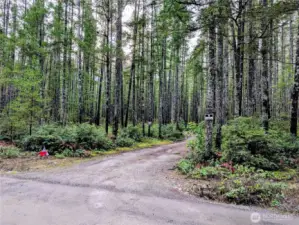 Driveway entrance at Sides Way property